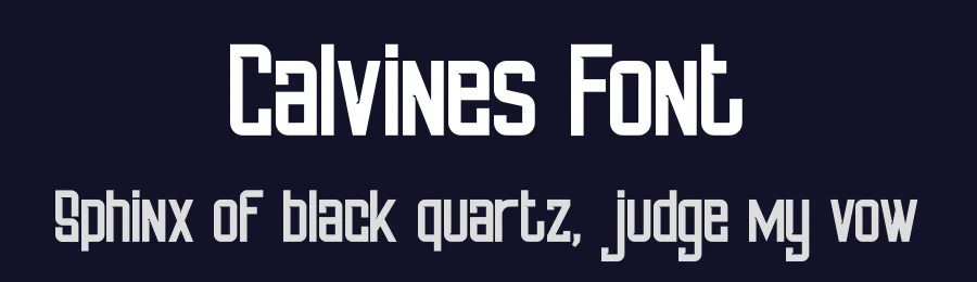 Calvines Font by StringLabs — Sans Serif Font — thumbnail 2