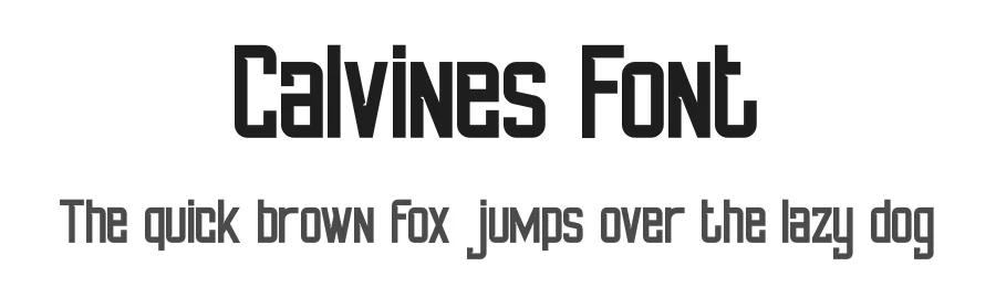 Calvines Font by StringLabs — Sans Serif Font