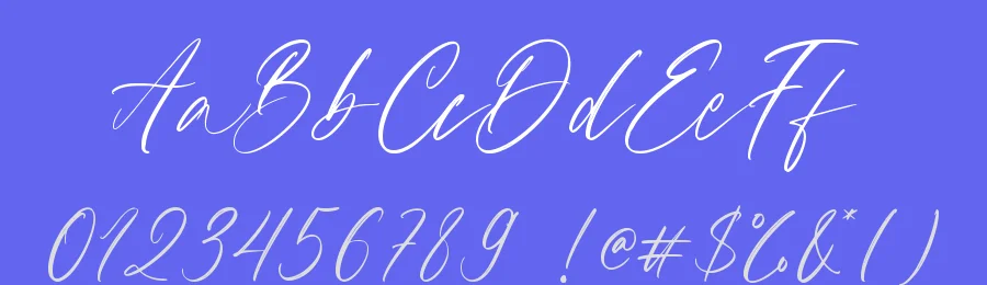 Camalla Rose Font by Nox Studio — Script Handwritten Font — thumbnail 3