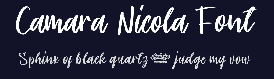Camara Nicola Font by noahtype — Decorative Font — thumbnail 2