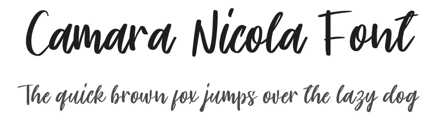 Camara Nicola Font by noahtype β Decorative Font