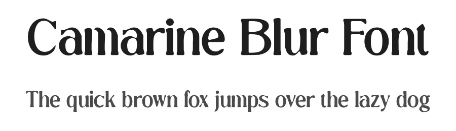 Camarine Blur Font by craftsupplyco — Display Font