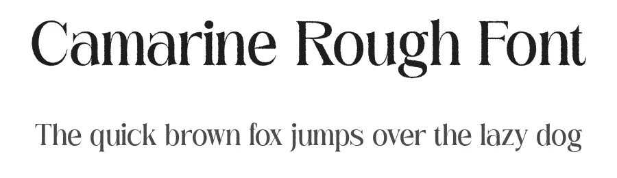 Camarine Rough Font by craftsupplyco — Display Font