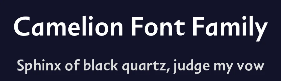 Camelion Font Family by Sandrine Nugue — Display Font — thumbnail 2