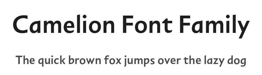 Camelion Font Family by Sandrine Nugue — Display Font