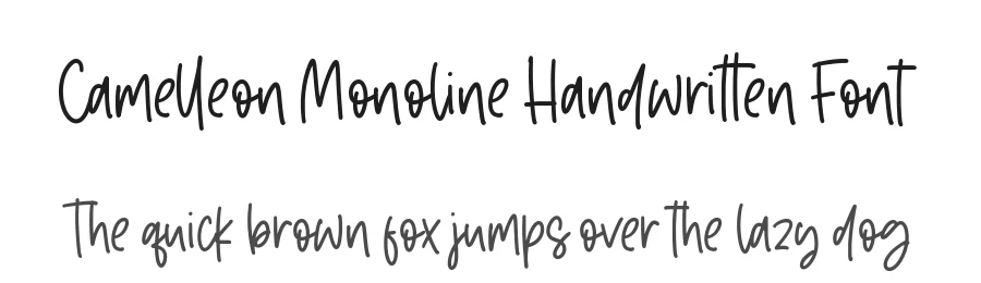 Camelleon Monoline Handwritten Font by balpirick — Decorative Font