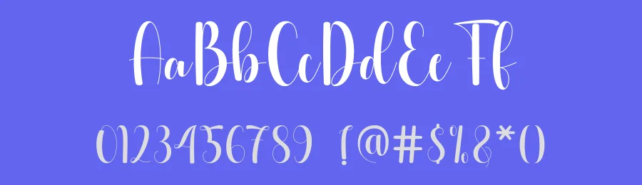 Camellia Script Font by DN Creative — Script Handwritten Font — thumbnail 3