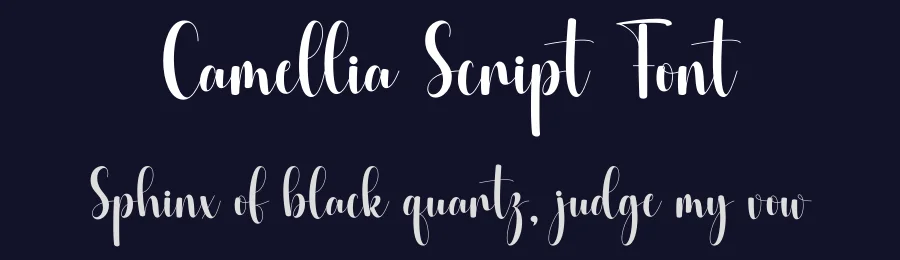 Camellia Script Font by DN Creative — Script Handwritten Font — thumbnail 2
