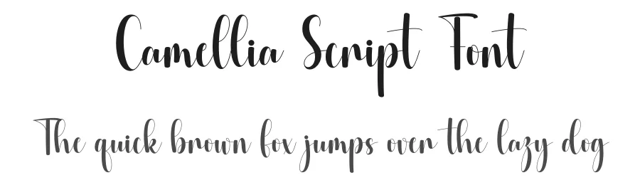 Camellia Script Font by DN Creative — Script Handwritten Font