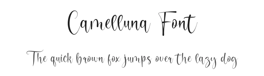 Camelluna Font by Koplexsstudio β Script Handwritten Font