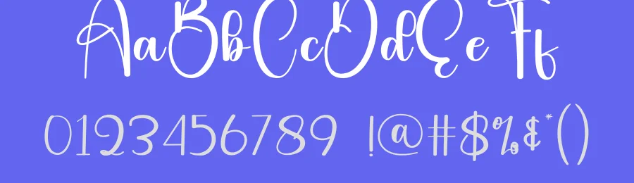 Camera – Handwritten Script Font by andikastudio — Script Handwritten Font — thumbnail 3