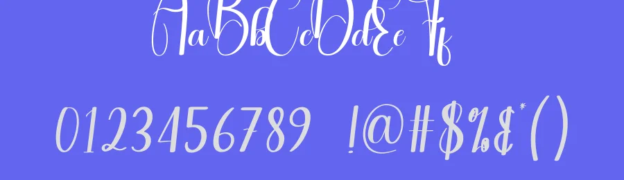 Camera Script Font by andikastudio — Script Handwritten Font — thumbnail 3