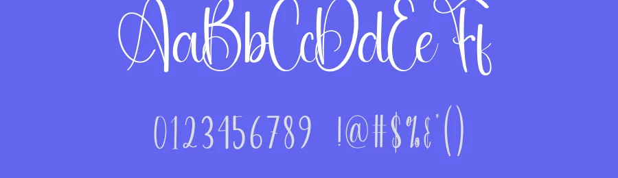 Camera Script Font by andikastudio — Script Handwritten Font — thumbnail 3