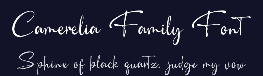 Camerelia Family Font by Denustudios — Script Handwritten Font — thumbnail 2