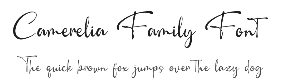 Camerelia Family Font by Denustudios — Script Handwritten Font