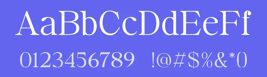 Camige Font by TypeLogue — Serif Font — thumbnail 3