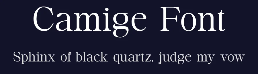 Camige Font by TypeLogue — Serif Font — thumbnail 2