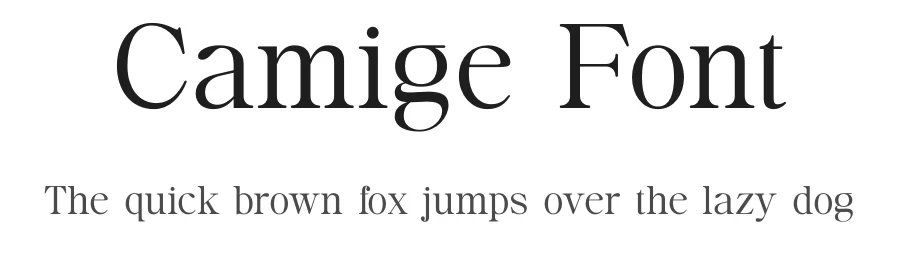 Camige Font by TypeLogue — Serif Font