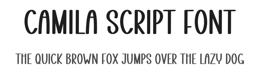 Camila Script Font by freshtypeink — Display Font