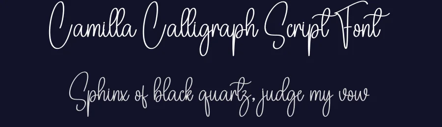 Camilla Calligraph Script Font by creativeletter — Script Handwritten Font — thumbnail 2