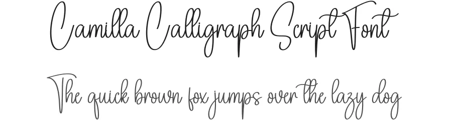 Camilla Calligraph Script Font by creativeletter — Script Handwritten Font