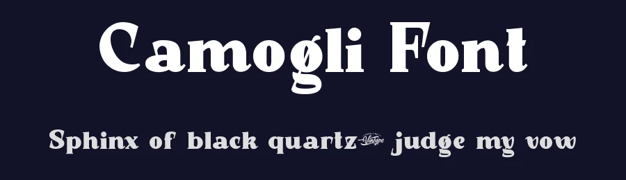 Camogli Font by VinType — Display Font — thumbnail 2