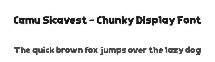 Camu Sicavest – Chunky Display Font by productype — Display Font