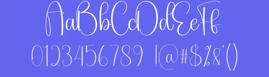 Canada Calligraphy Font by creativeletter — Script Handwritten Font — thumbnail 3