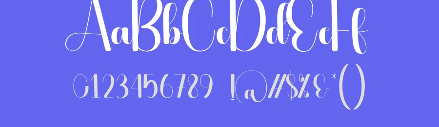 Canada Script Typeface by creativeletter — Script Handwritten Font — thumbnail 3