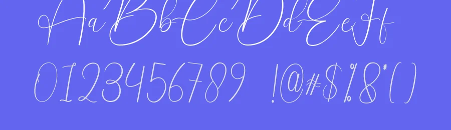 Canada Signature Font by creativeletter — Script Handwritten Font — thumbnail 3
