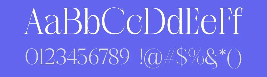 Canesa Font by Rantautype — Serif Font — thumbnail 3