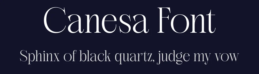 Canesa Font by Rantautype — Serif Font — thumbnail 2