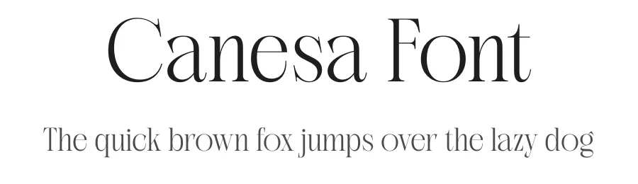 Canesa Font by Rantautype — Serif Font