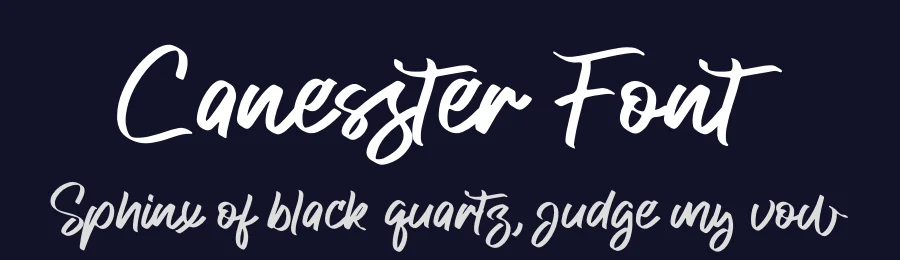 Canesster Font by letterfabric — Script Handwritten Font — thumbnail 2