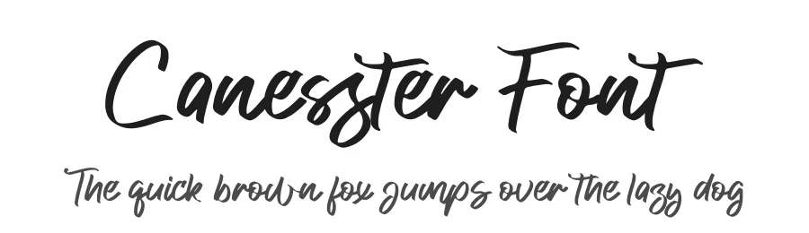 Canesster Font by letterfabric — Script Handwritten Font