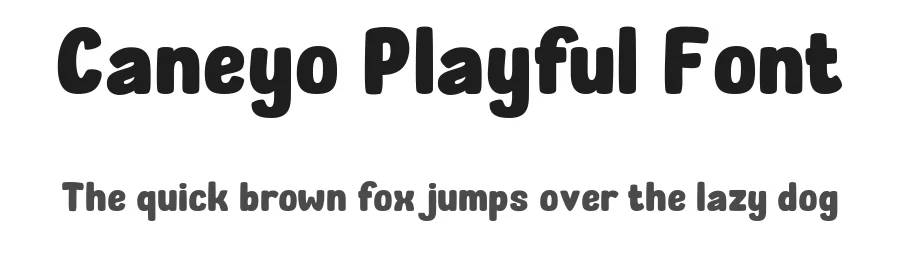 Caneyo Playful Font by Littlehand — Display Font