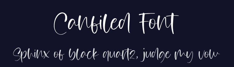 Canfiled Font by AesthericaStudio — Script Handwritten Font — thumbnail 2