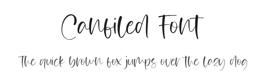 Canfiled Font by AesthericaStudio — Script Handwritten Font