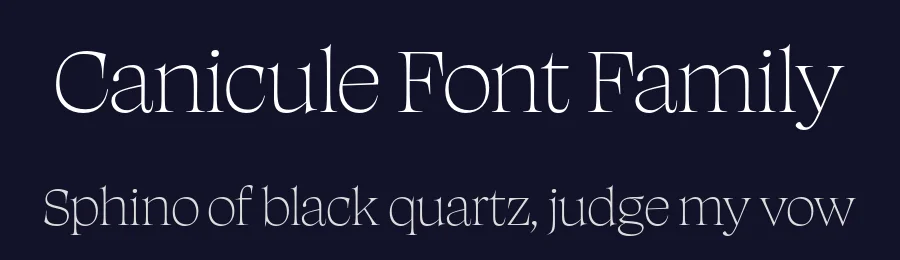 Canicule Font Family by Kostas Bartsokas — Serif Font — thumbnail 2