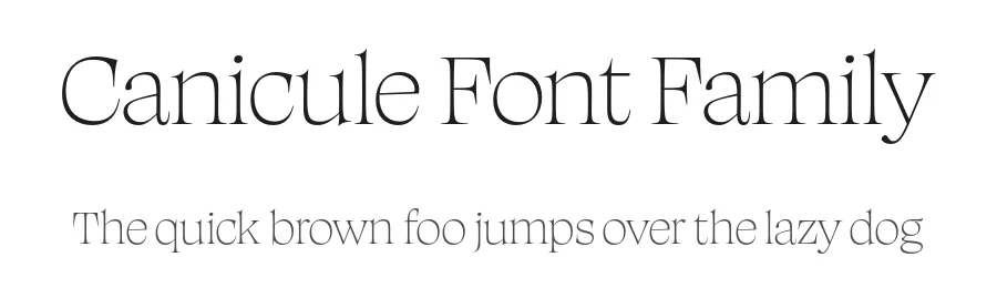 Canicule Font Family by Kostas Bartsokas — Serif Font