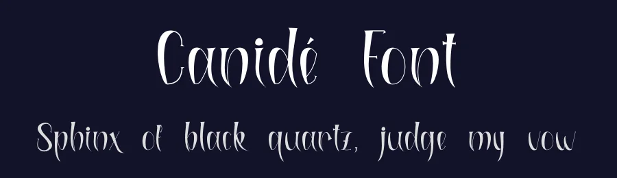 Canidé Font by Marchtwentype — Display Font — thumbnail 2