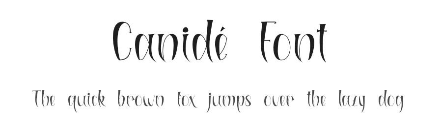 Canidé Font by Marchtwentype — Display Font