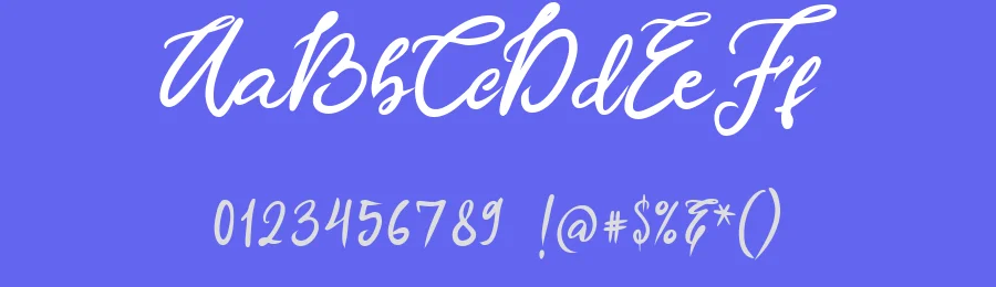Canilla Script Font by vaiminit — Script Handwritten Font — thumbnail 3