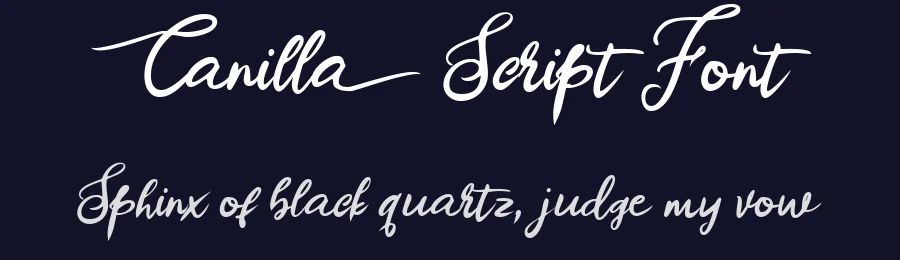 Canilla Script Font by vaiminit — Script Handwritten Font — thumbnail 2
