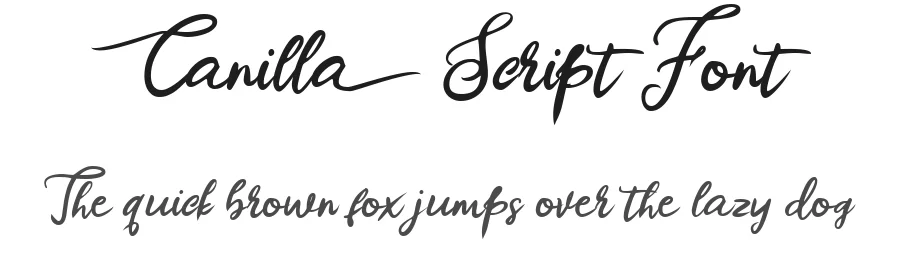 Canilla Script Font by vaiminit — Script Handwritten Font