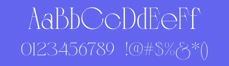 Cannera Font by Rantautype — Serif Font — thumbnail 3