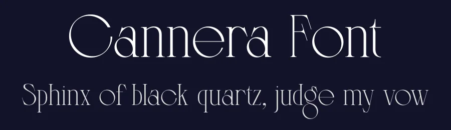 Cannera Font by Rantautype — Serif Font — thumbnail 2