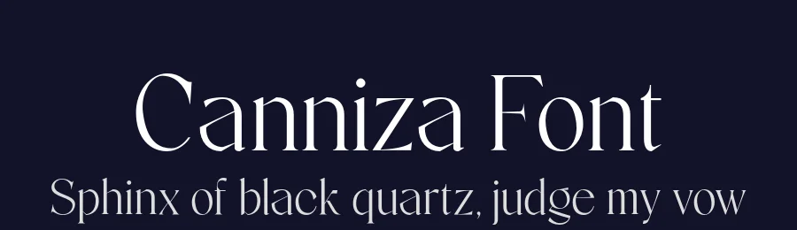 Canniza Font by Prominent and Affluent — Serif Font — thumbnail 2