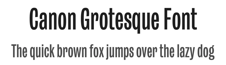 Canon Grotesque Font by veeratchanon — Sans Serif Font