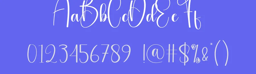 Canvas Script Font by andikastudio — Script Handwritten Font — thumbnail 3